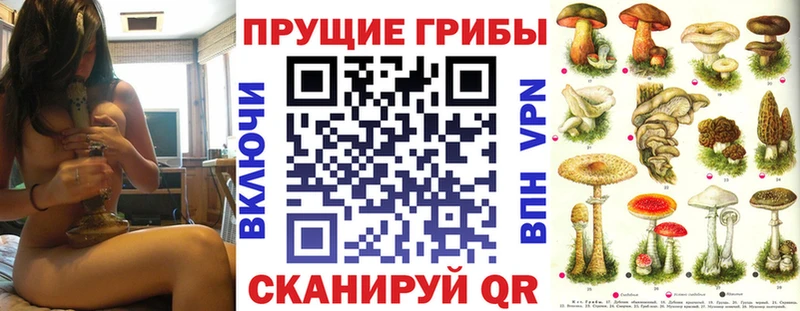 Псилоцибиновые грибы Magic Shrooms  Райчихинск 